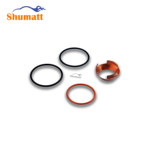 Diesel Common Rail S4719004 Fuel Injector Repair Kit