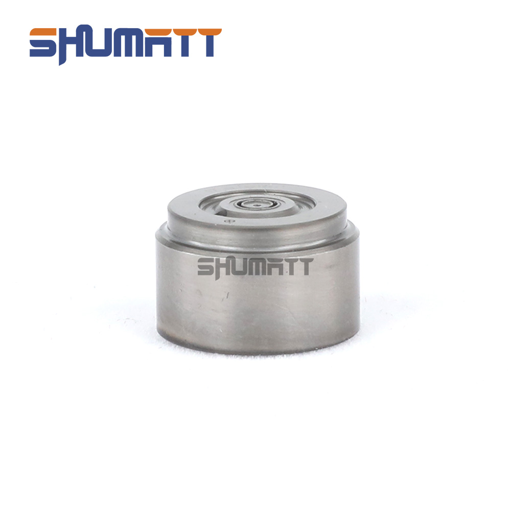 China Made New 295040-9417(G17) Injector Valve Plate for 23670–0E070 23670–0E090 Injector